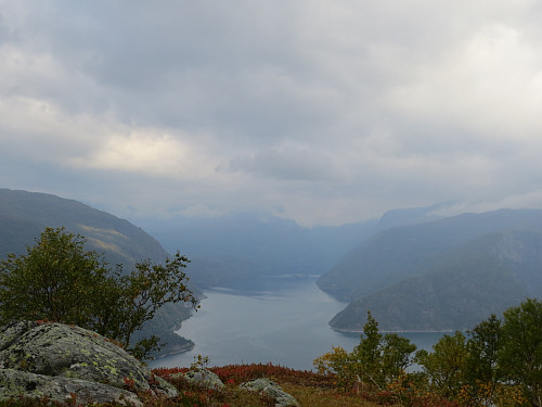 Utsikt mot Ulvik og Osafjorden fra like over tregrensen.