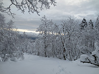 Over 1 meter snø i terrenget, gjorde ganske tungt å gå selv med truger. Hadde vært enda verre med ski!