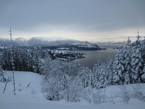 Så begynte den meldte snøen omsider å dale... Utsikt østover og inn Hardangerfjorden