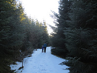 Vinterforhold på skogsveien, som går halvveis opp på fjellet.
