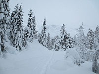 Dyp snø gjennom skogen på vei mot Jonstølen.