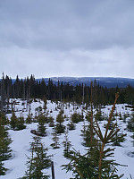 Utsikt for hafjell