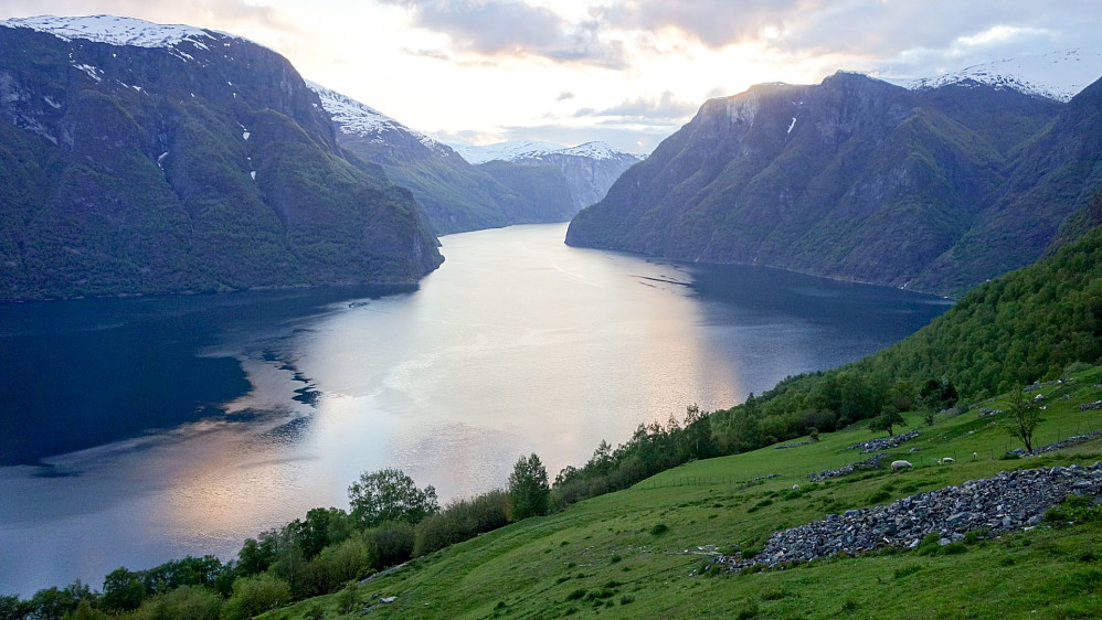 Ser ut Aurlandsfjorden fra fjellveien mellom Aurland og Lærdal.