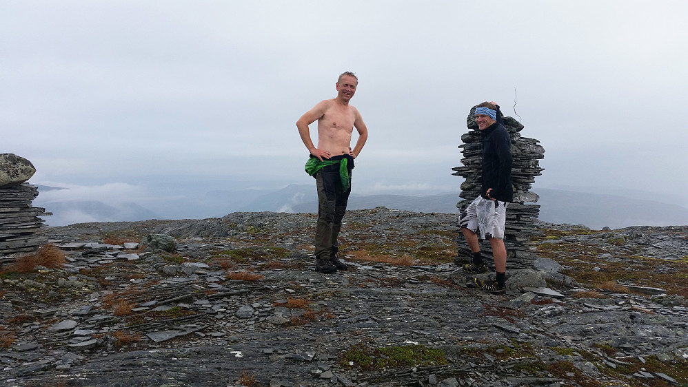 Toppvarden