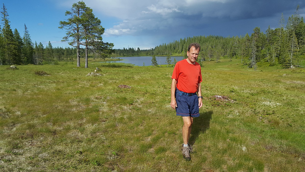 Noen av de tørrere myrpartiene!