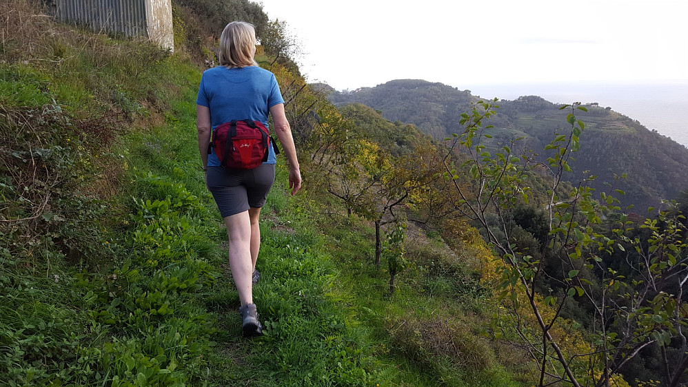 Vindruer. Ser San Bernadino i bakgrunnen til venstre. Derfra går stien vi hadde tenkt å gå ned til Vernazza.