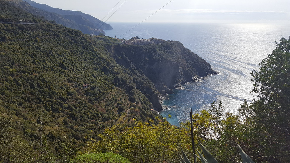 Ser ned på Corniglia.