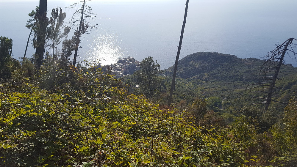 Nesten oppe av alle bakkene. Ser Corniglia langt der nede.