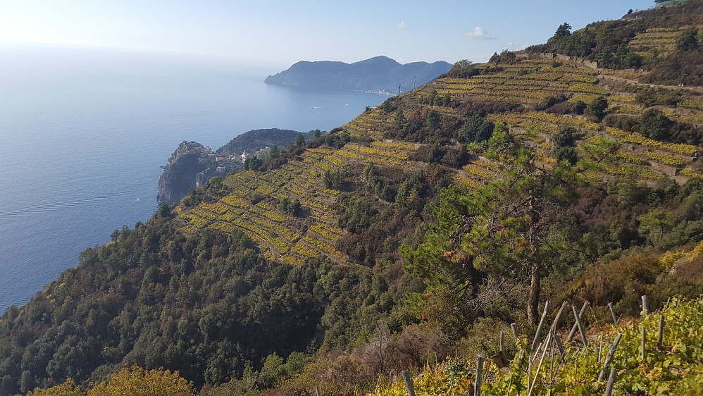 Mer vinområder. Ser Corniglia som vi kom fra.