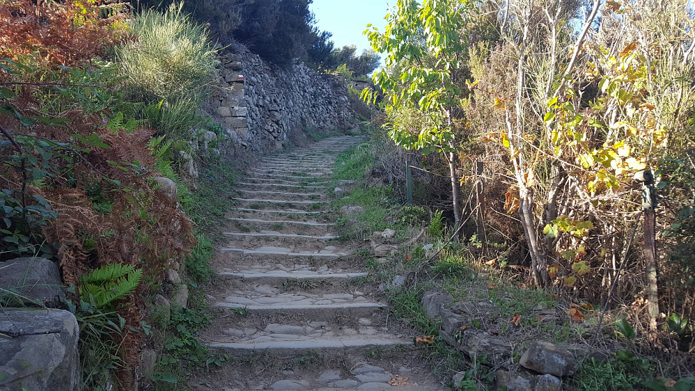 Noen av de sikkert 1000 trappetrinnene ned mot Manarola.