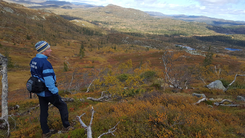 På vei fra Springarnutane til Mjølteli