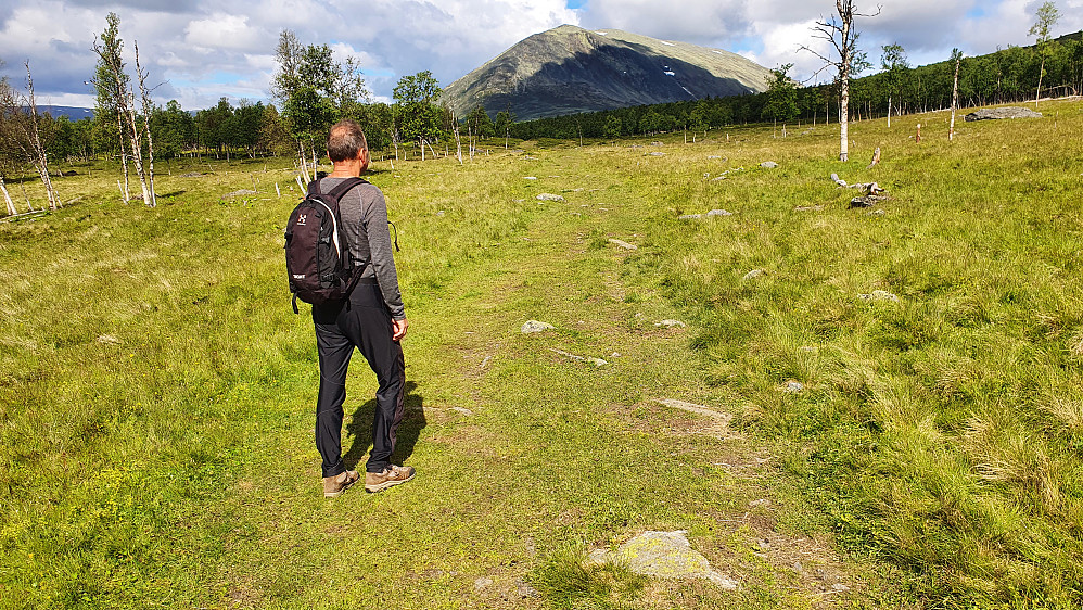 Mot Heidalsmuen fra Bukkebu.