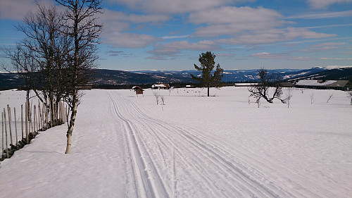 Koselig setervoll på Gåla