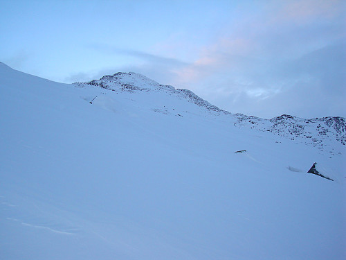 Kvassryggen