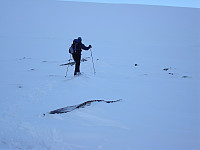askogvoll_dsc01992.jpg