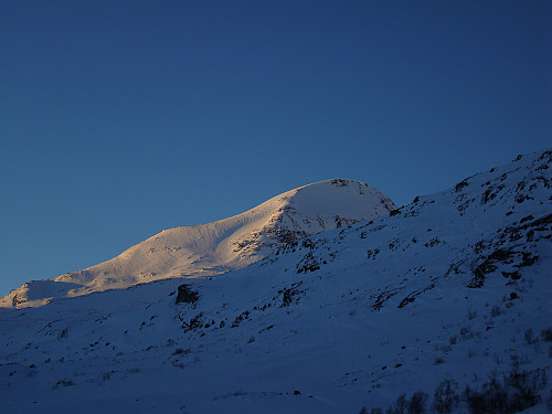 Storbreahøe