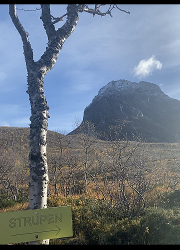 Ta av ved dette skiltet mot Strupen. Stien er merket i starten. Etterhvert går den litt i oppløsning.