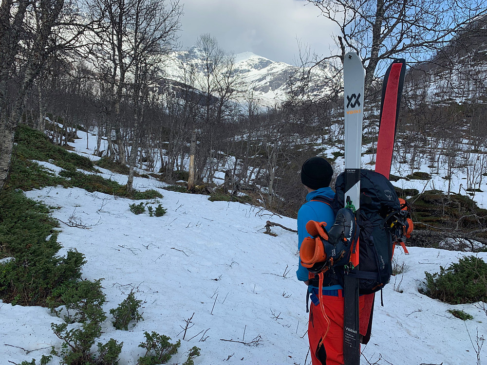 Time to put on the skis? 