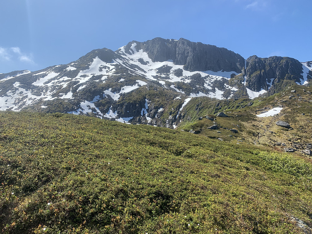 Heading towards the summit