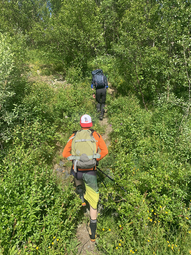 A very misleading trail to start with