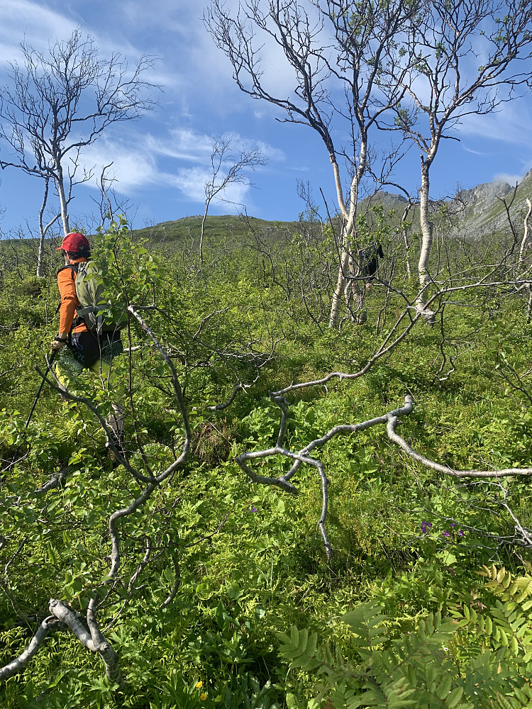 Bush bashing...