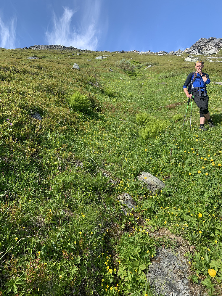 One of the more unpleasant gullies heading up to the summit