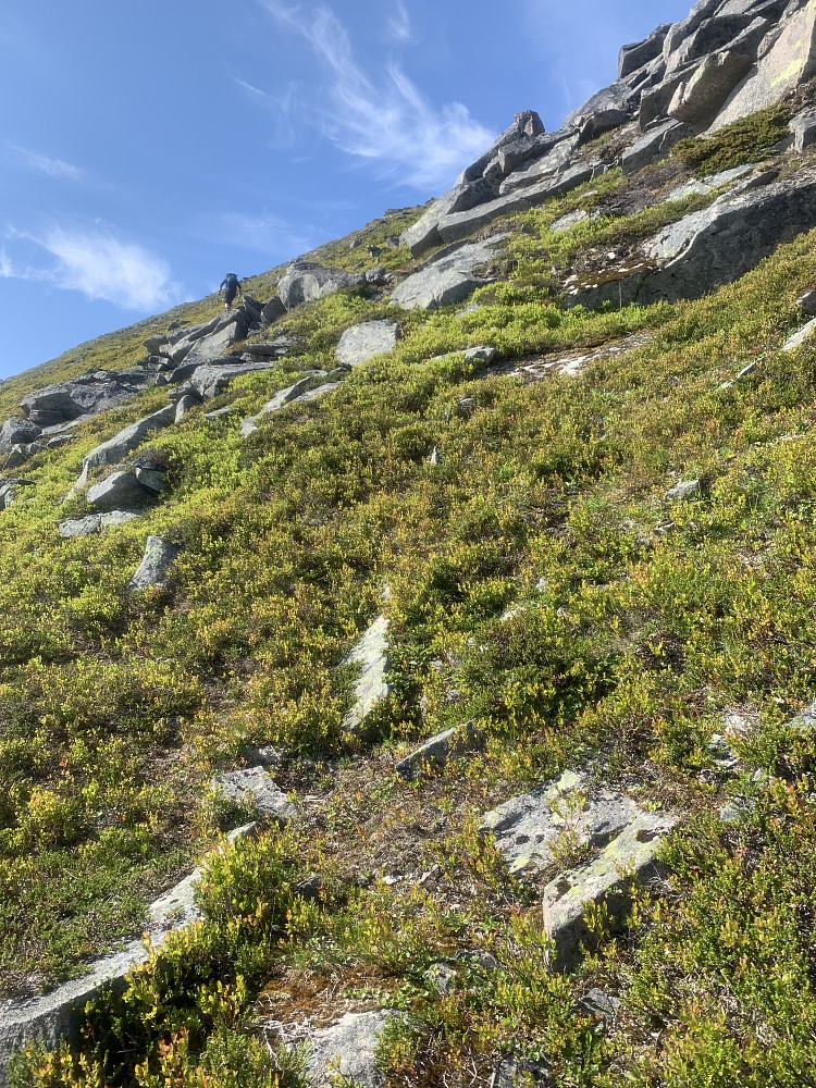 Closing in on the summit