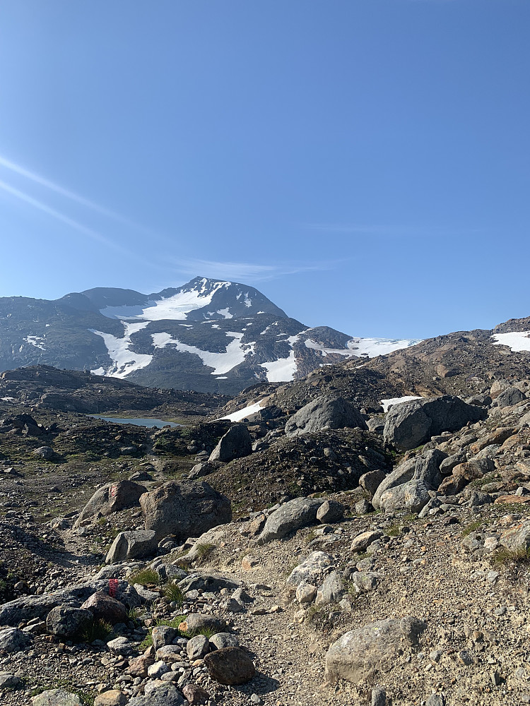First sights on Oksskolten