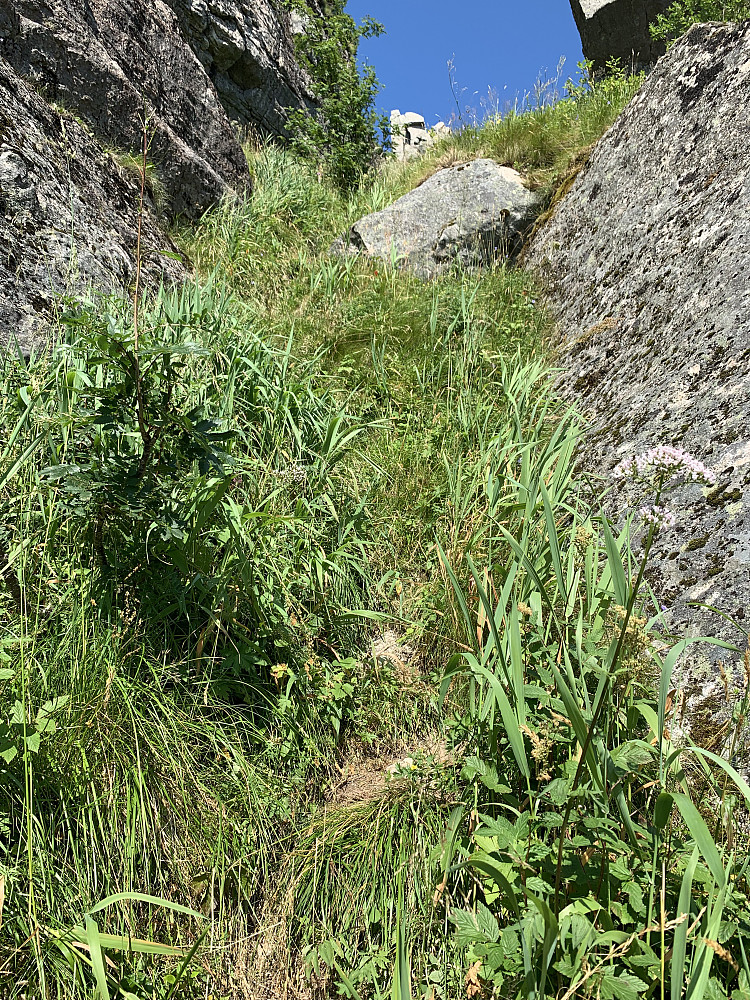 The steep gully