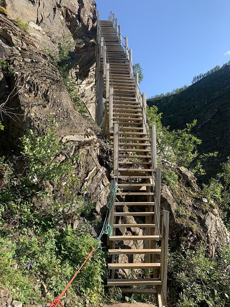 Up we go!