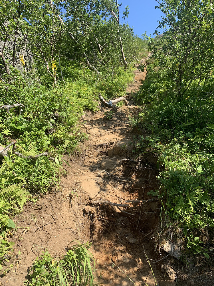 The trail at its' worst 