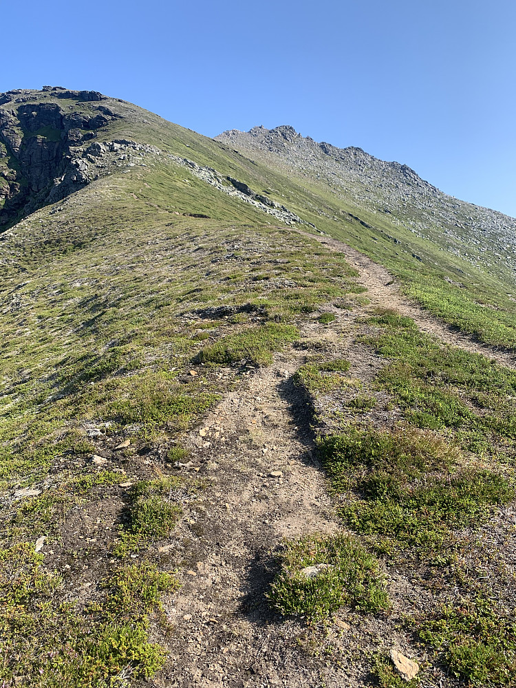Trail heading up the ridge
