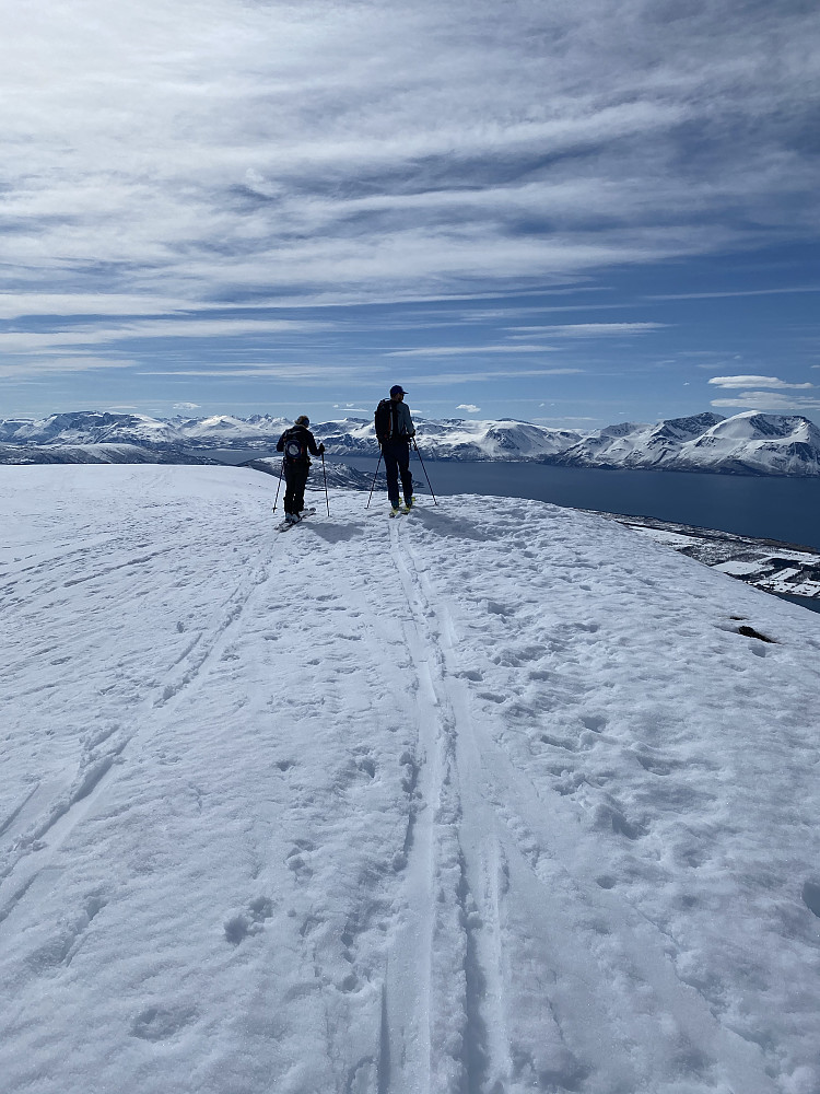 At the top of Rundfjellet
