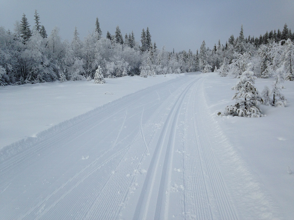 På tur fra Gravåsen