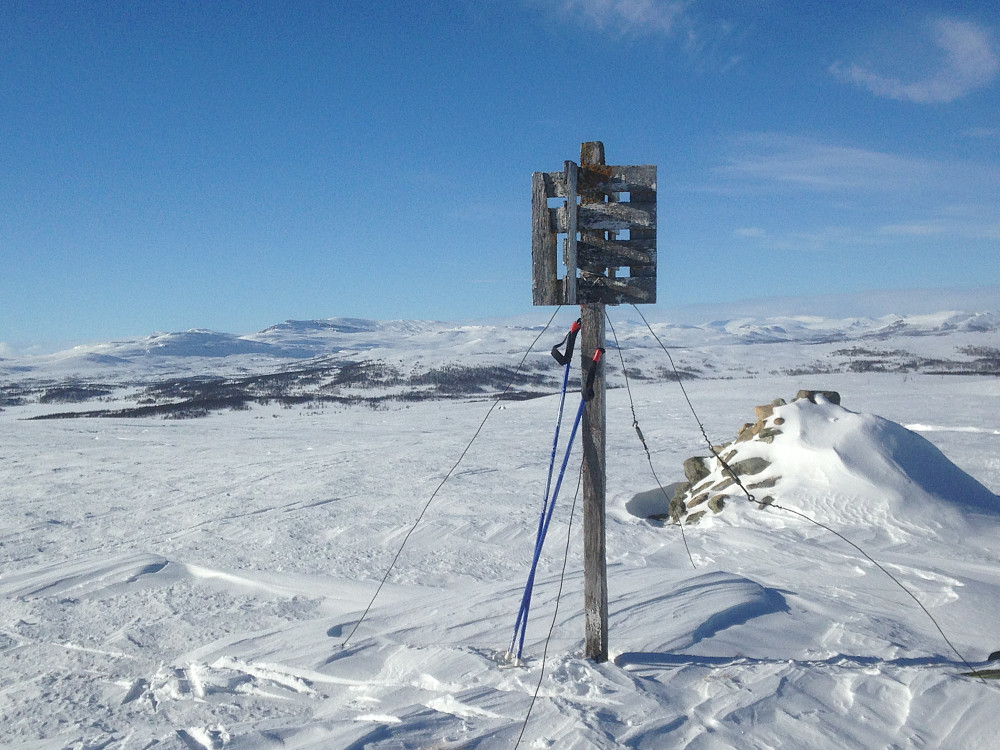 Trigeometrisk punkt på Vetafjellet