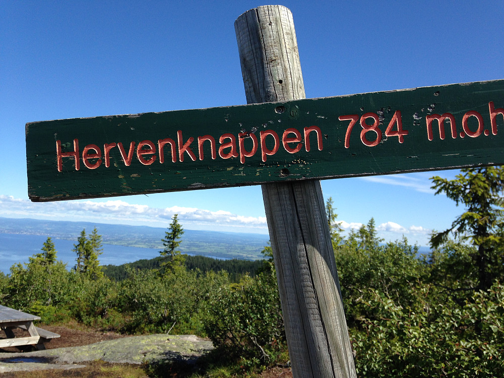 Hvervenknappen