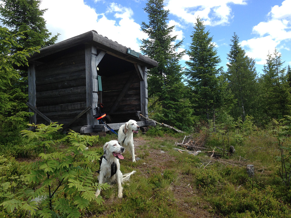Trym og Mio ved gapahuken