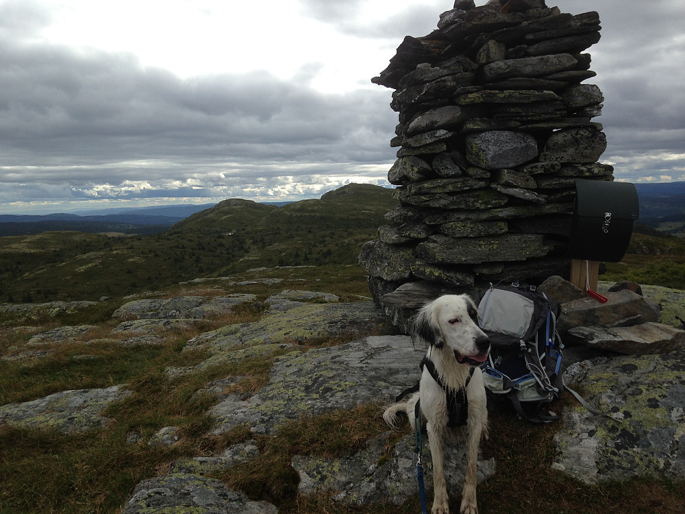 På Skjenafjellet