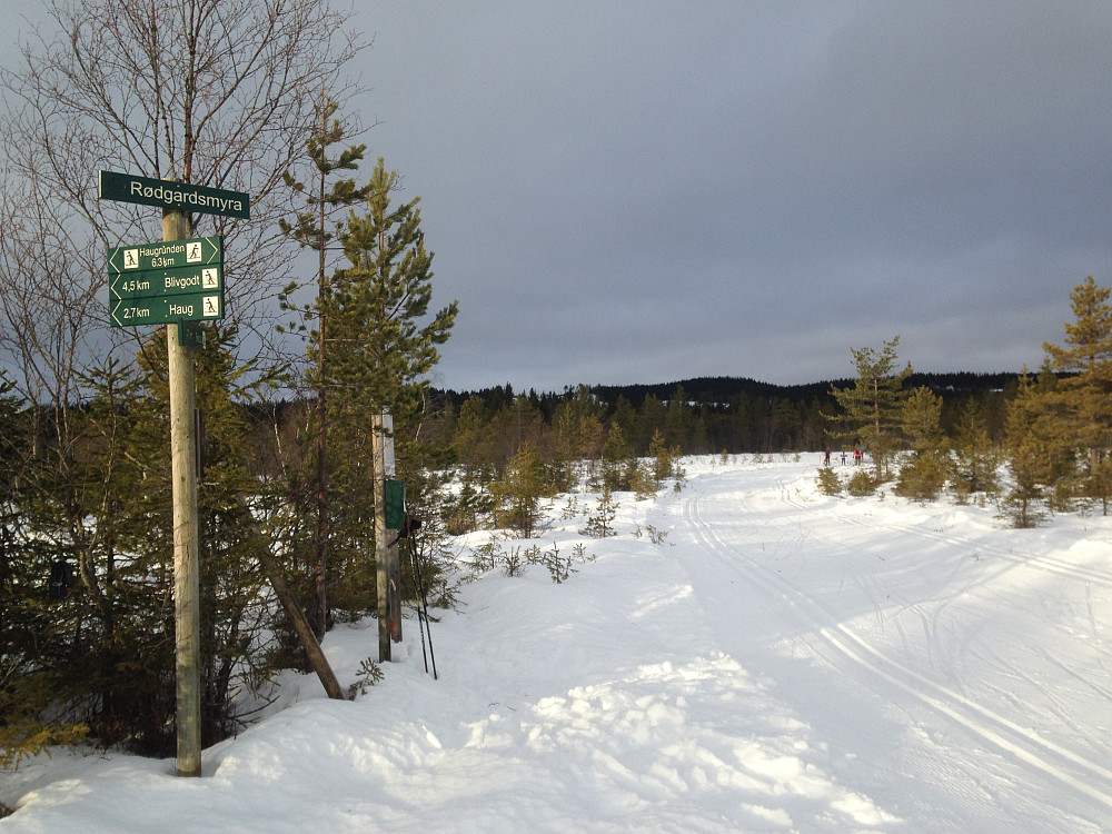 Løypekrysset på Rødgardsmyra