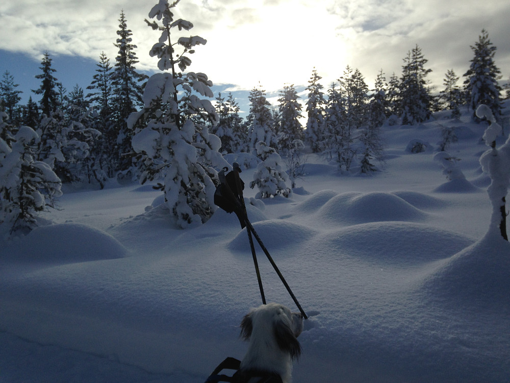 Sol i dag
