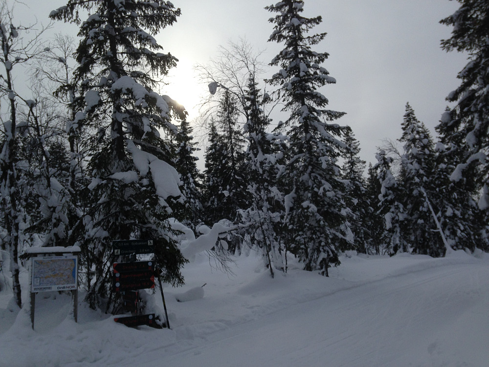 Løypa her går mot Gravåsen