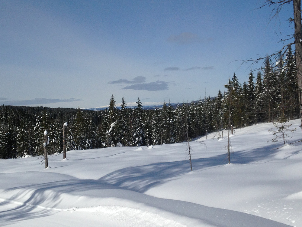 Straks nede ved veien på Gravåsen, Synnfjellet i det fjerne 