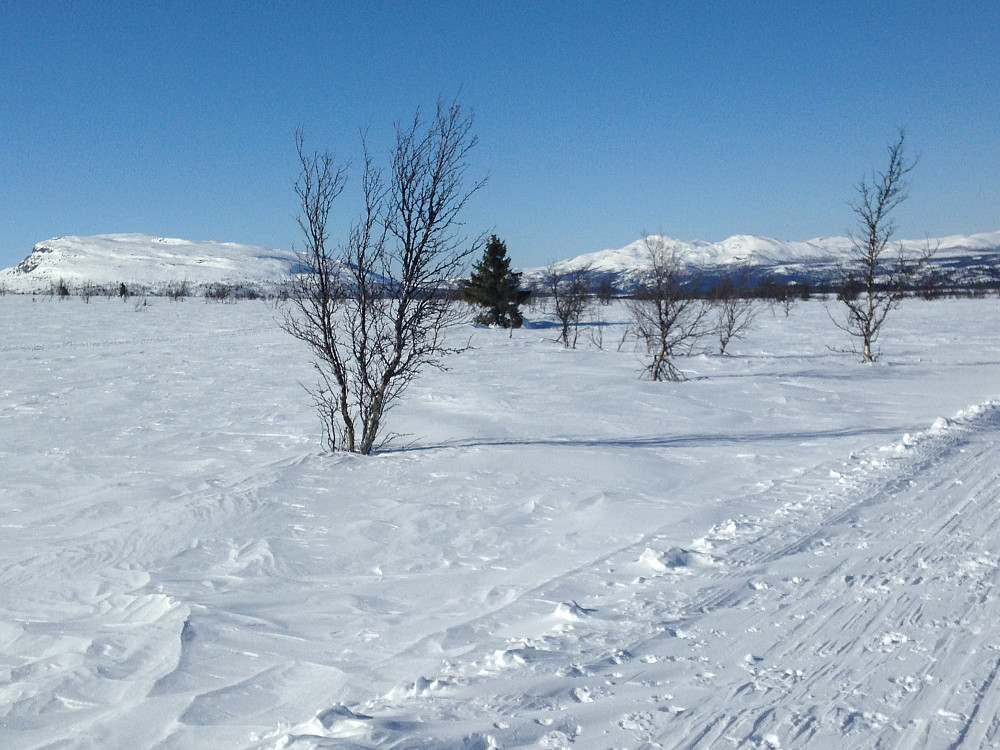 Ongsjøfjellet og Gråhøer