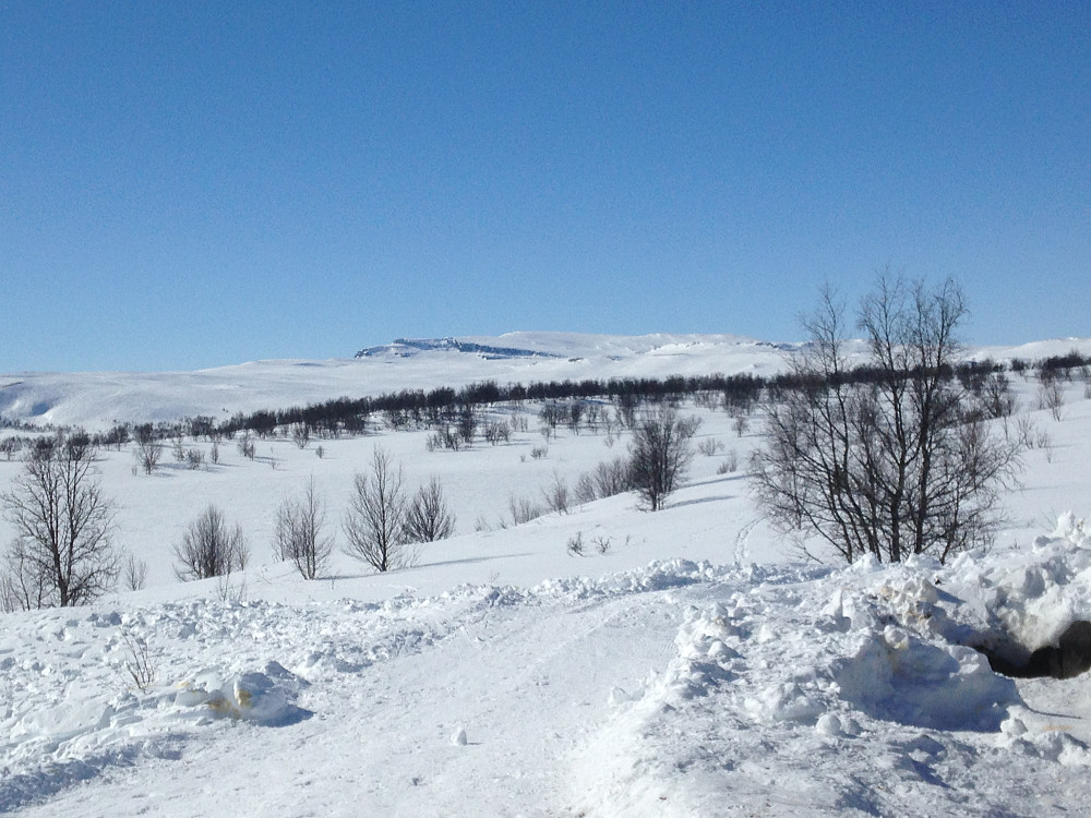 Nordre Langsua fra Leppe