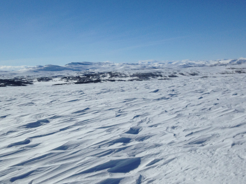 På Vetafjellet