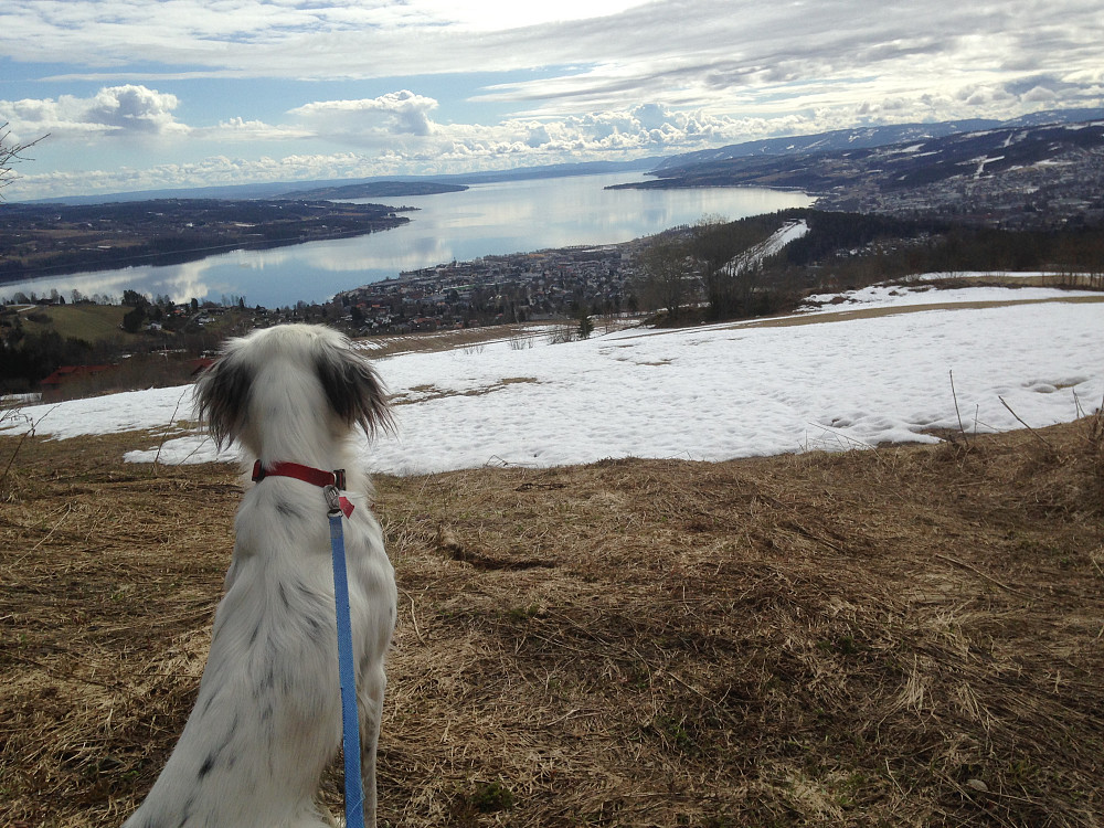 Trym ser utover Mjøsa
