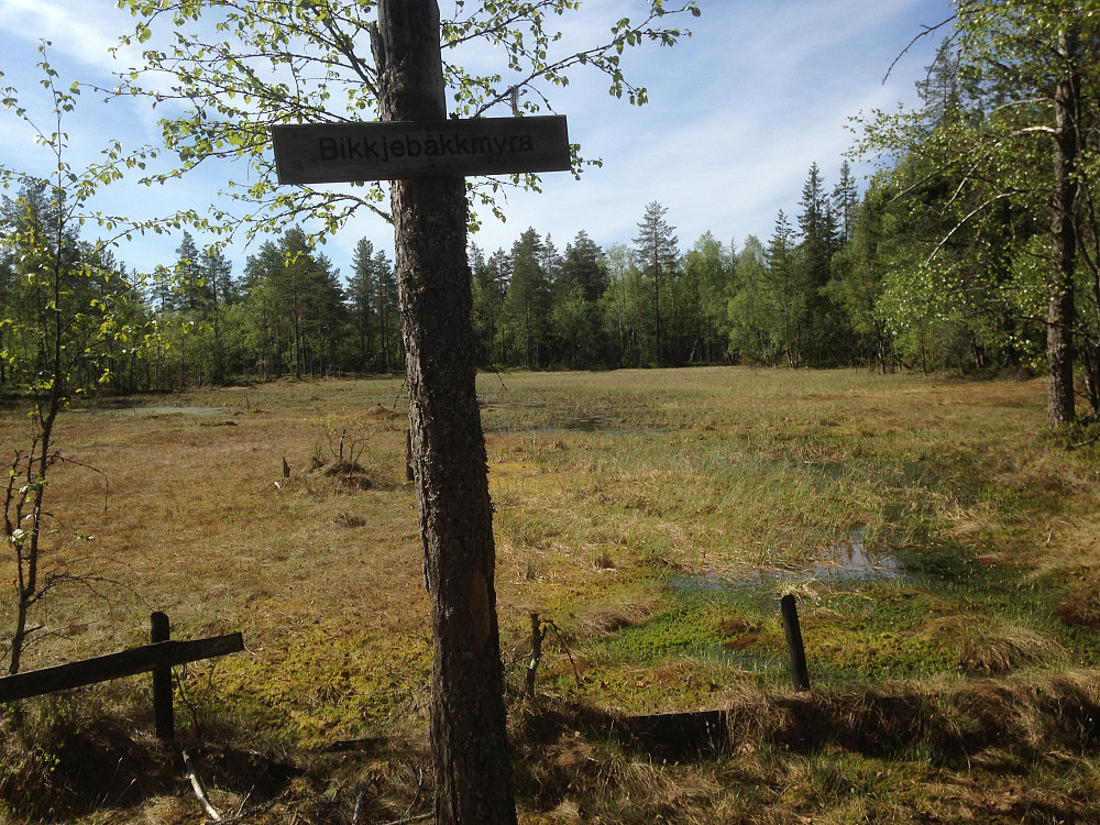 Bikkjebakkmyra