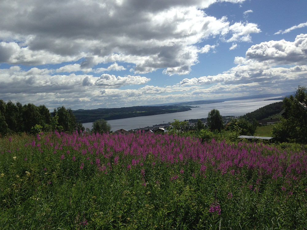 Utsikt mot Mjøsa på tur hjem