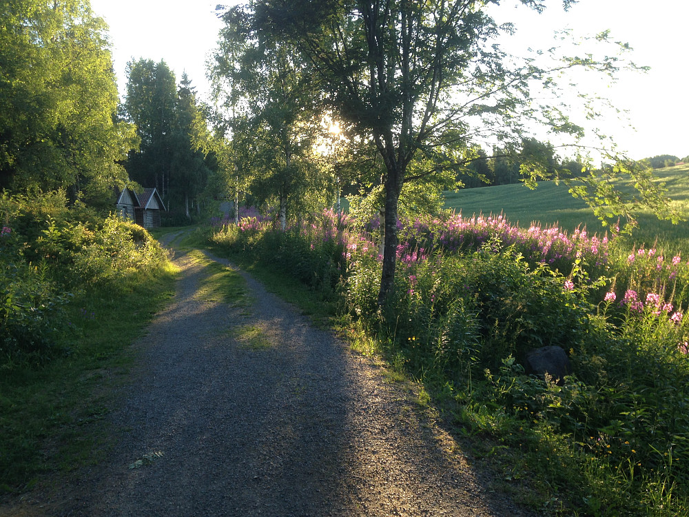 Ned over Eiktunet