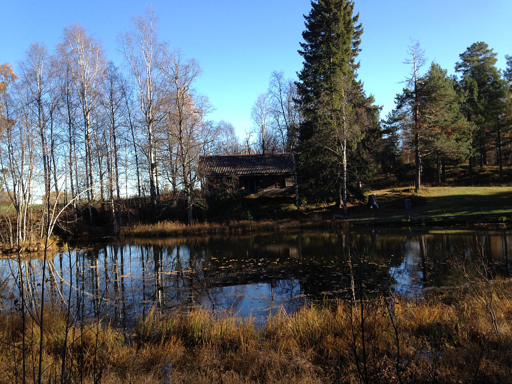 Eiktunet